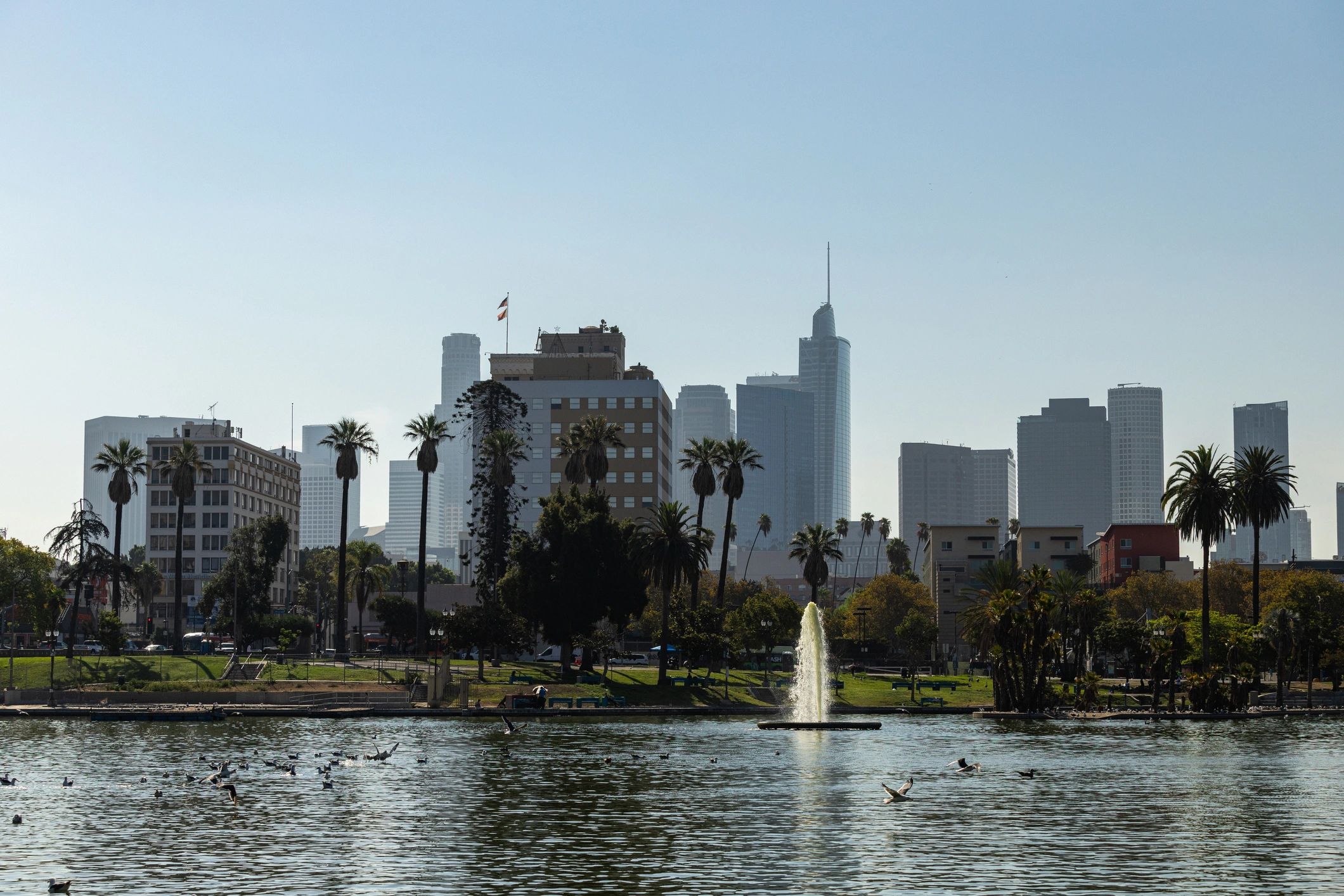 Commercial and residential property setting for leasing services